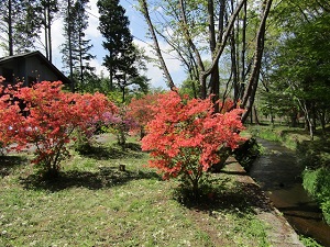karuizawa桜ヶ丘ヴィレッジ-中軽井沢エリア
