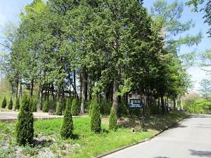 中軽井沢エリア-桜ヶ丘ヴィレッジプラス2区画