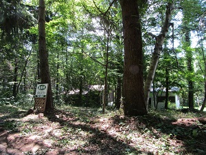 御代田・塩野106坪